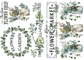 Producto - PLANT 8 TRANSFERMIXED A4