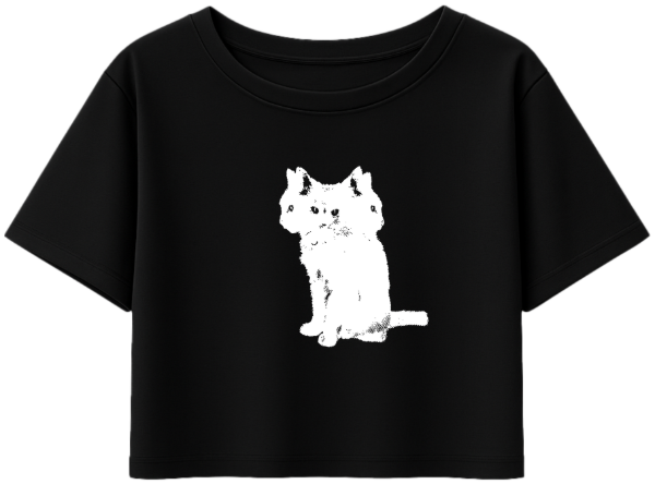 Producto - Top Gato 2