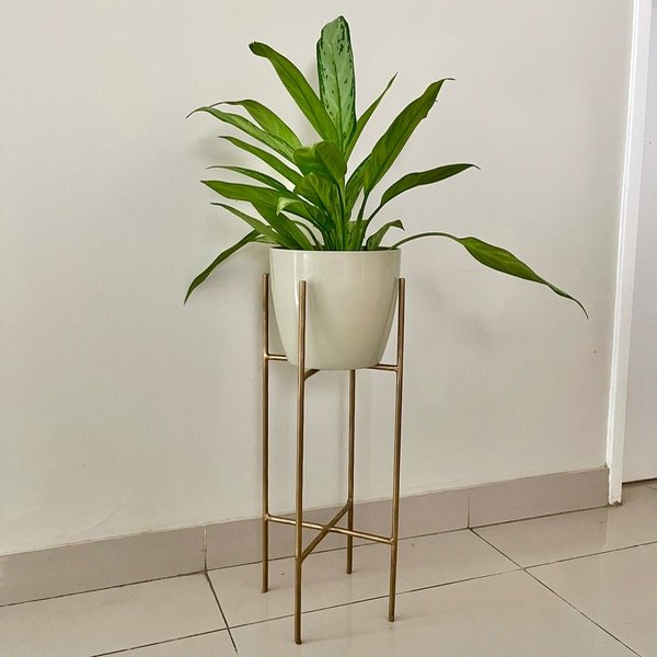 Producto - Pie hierro DORADO con maceta premium 18cm