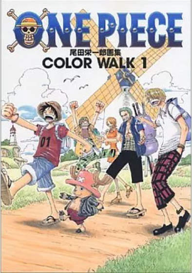 Producto - ONE PIECE COLOR WALK 1