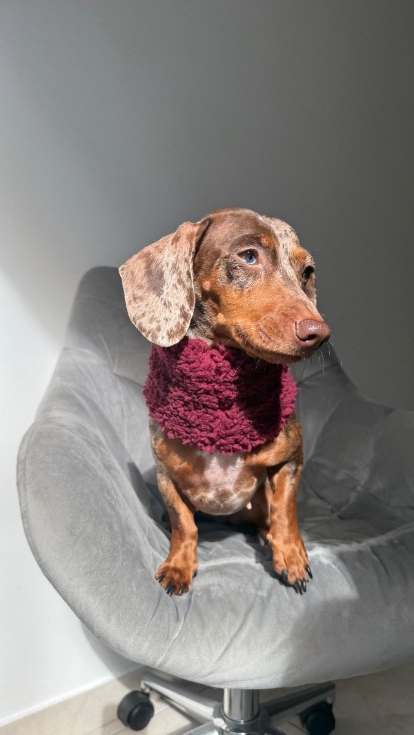 Producto - Cuellito de invierno Bordo