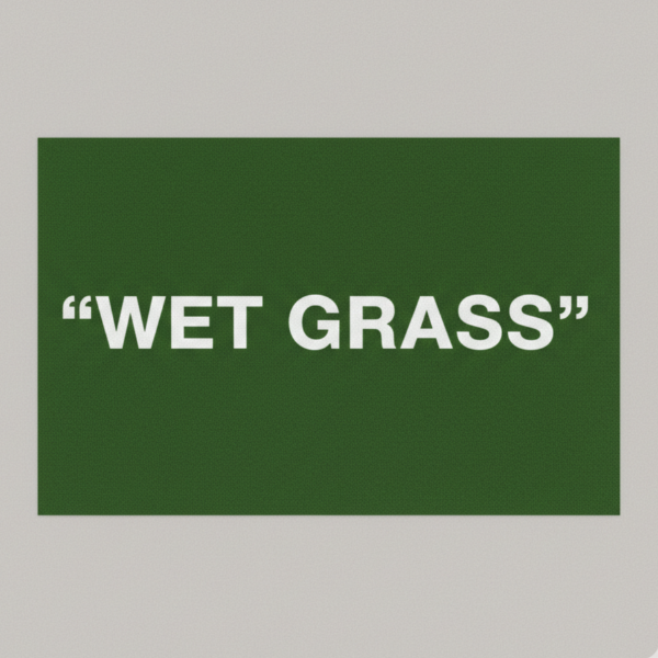 Producto - Typo Vibes