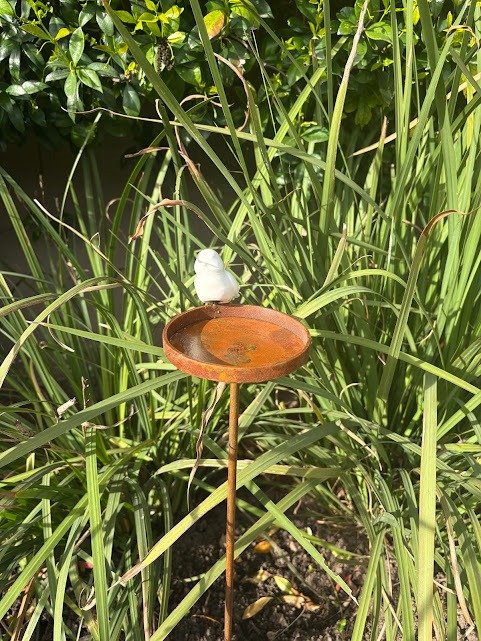 Producto - Bebedero Pajarito