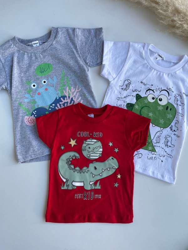 Producto - REMERA ESTAMPADA NIÑO - COD 847