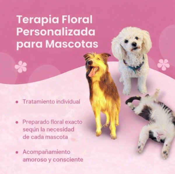 Producto - Terapia Floral para Mascotas