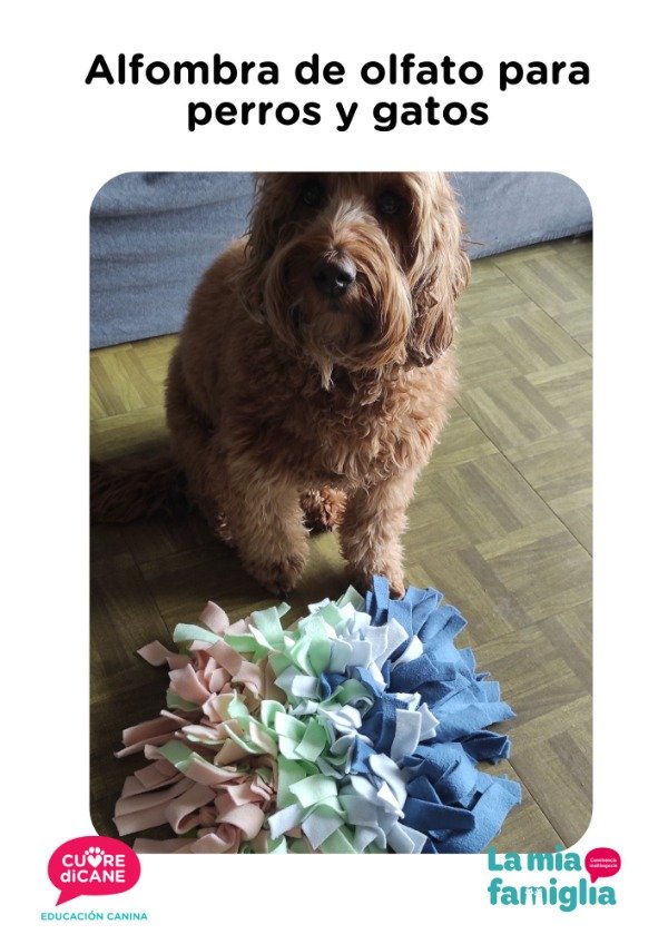 Producto - Alfombra de olfato