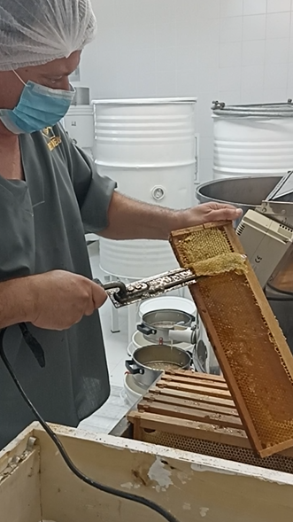 Producto - Servicio de extracción de Miel en sala de Extracción propia