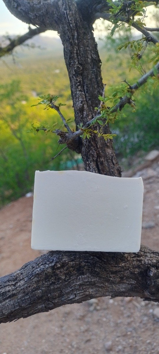 Producto - Jabón Blanco