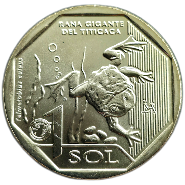 Producto - Perú 1 Sol 2019 Rana Gigante Km#417 Unc