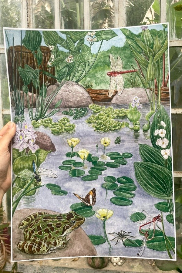 Producto - Lámina Estanque A4/A3 - 1