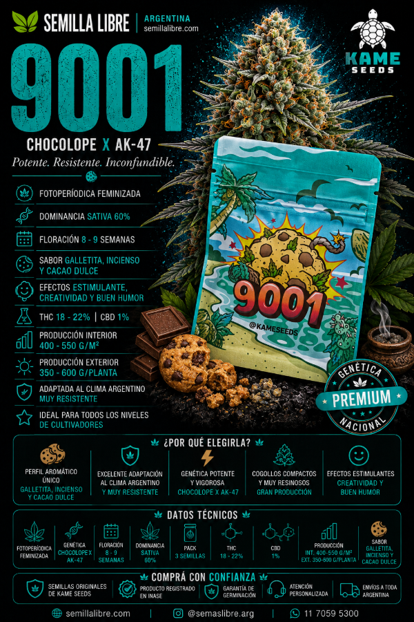 Producto - 9001 - KAME SEEDS. Pack 3 semillas - 2