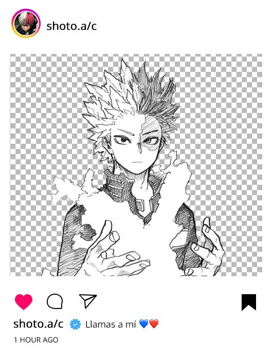 Producto - Ig de Todoroki