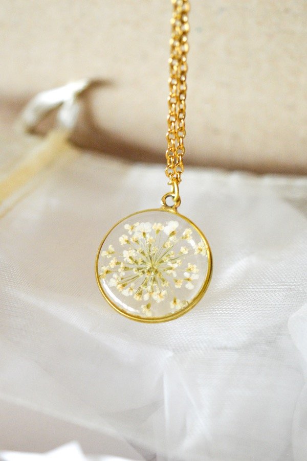 Producto - Zanahoria Silvestre