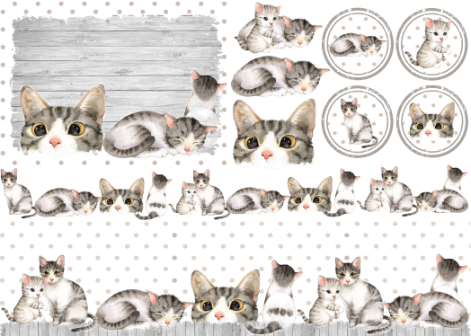 Producto - PETS 6