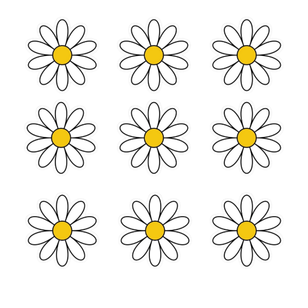 Producto - Flores comestibles margaritas pack x12un