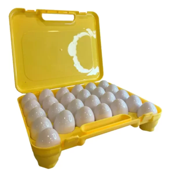 Producto - Caja de huevos x26 - 5