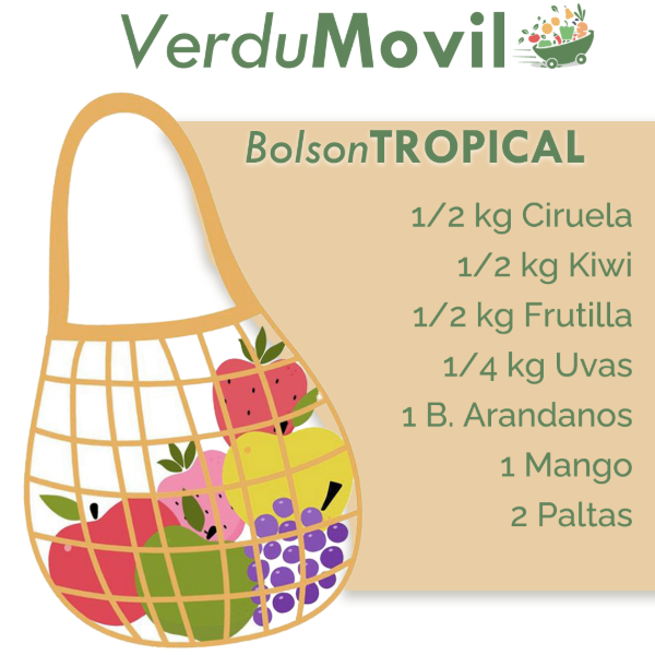 Producto - Bolson Tropical