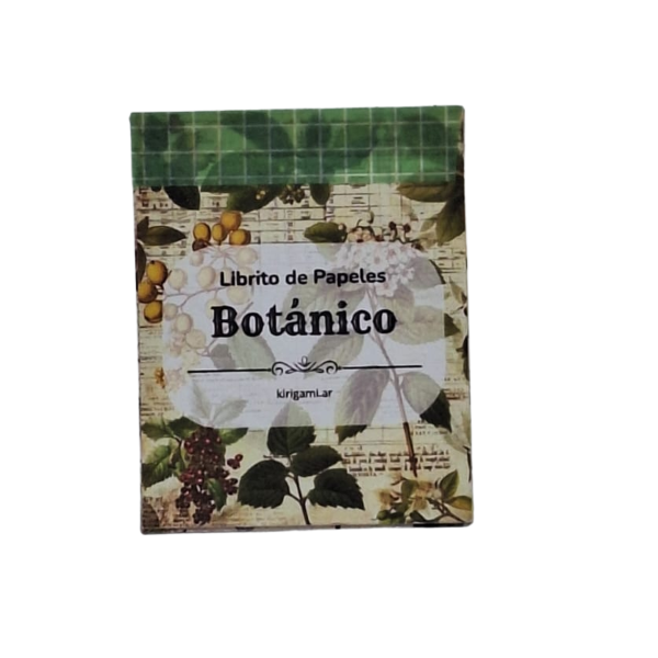 Producto - Mini Libritos de Papeles - 1