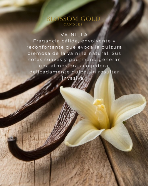 Producto - Esencia multipropósito VAINILLA