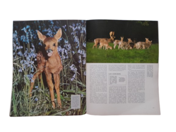 Miniatura de producto - 5