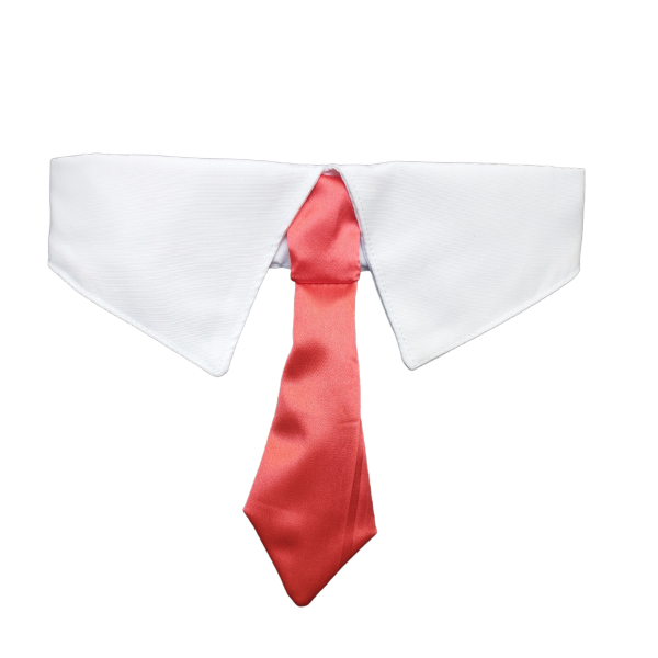 Producto - Cuello Corbata Luxury Rojo
