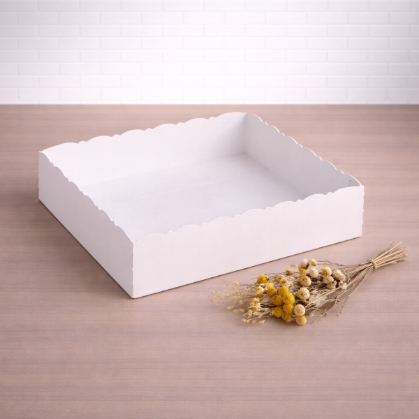 Producto - Base contenedora sin tapa 20x10x3 - ideal para organizar productos - 1