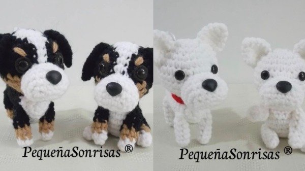 Producto - Perros - 5