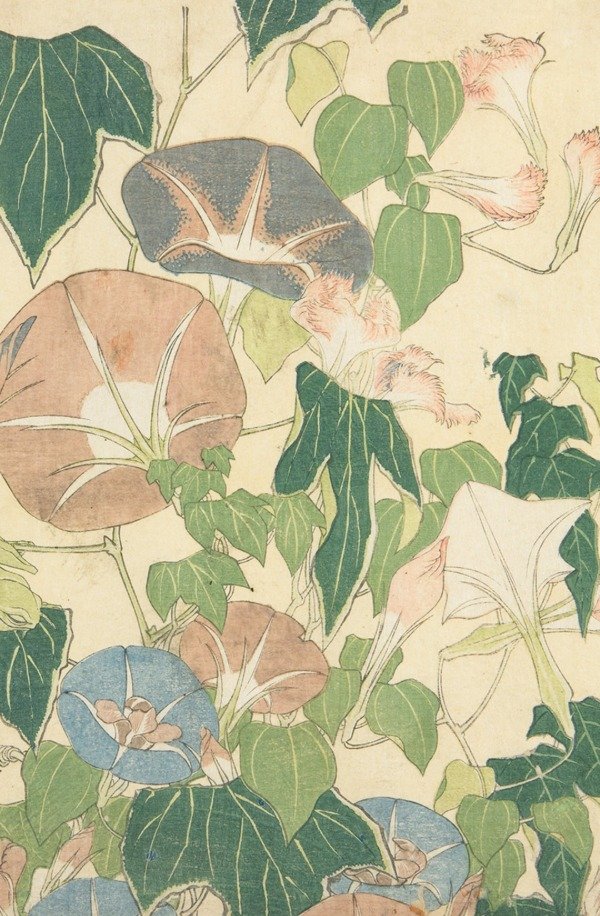 Miniatura de producto - 10