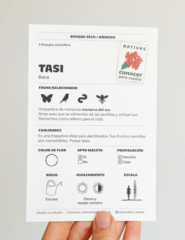 Producto - Postal - Tasi (Araujia sericífera) - 1