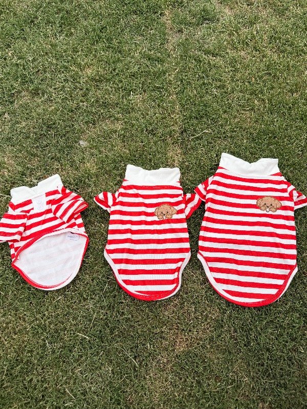 Producto - Remera Osito