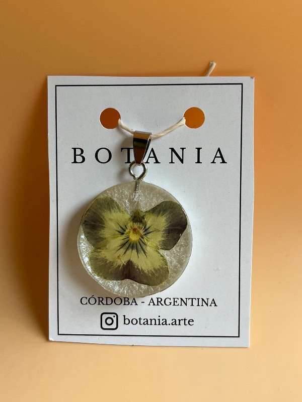 Producto - Pensamiento 1