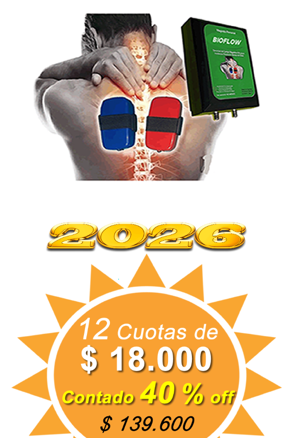 Producto - Magneto Bioflow Personal 150 gauss con dos solenoides Planos