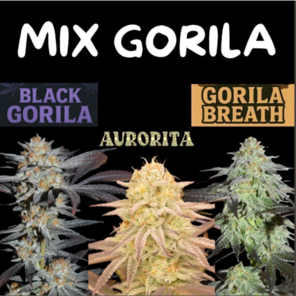 Producto - EL PAMPA SEEDS MIX GORILA X3