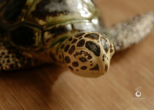 Producto - Tortuga Marina - Escultura - 12