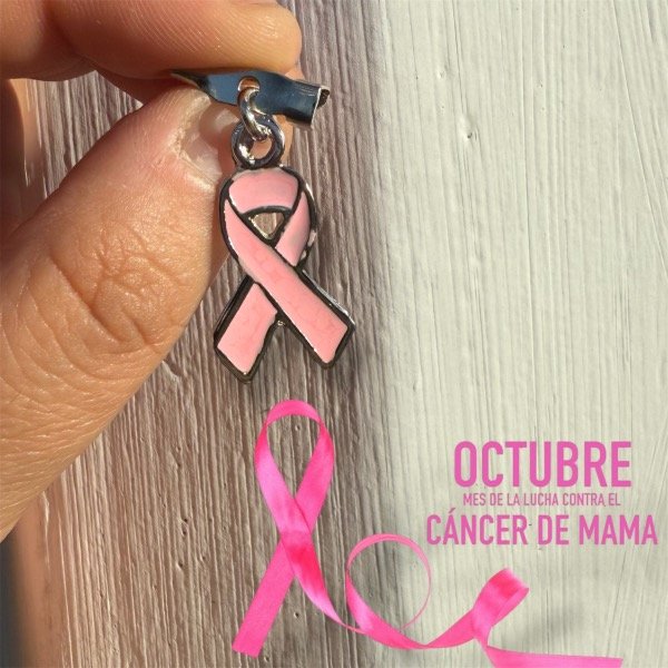 Producto - Prendedor Lazo Rosa