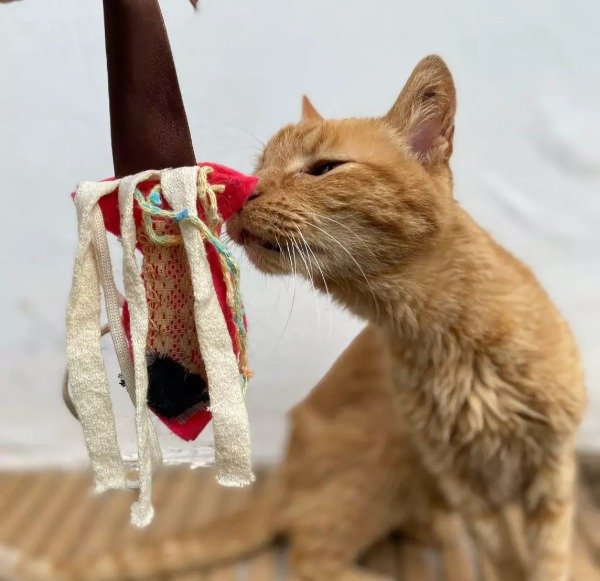 Producto - Pececito De Valeriana Para Gatos - 1