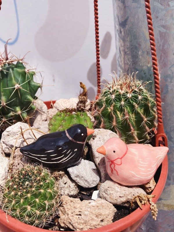 Producto - PAREJA DE POLLITOS