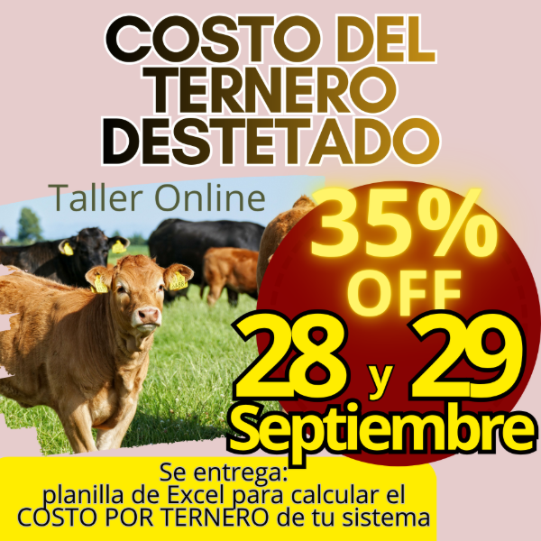 Producto - Taller Online: Cálculo del Costo del Ternero - 0