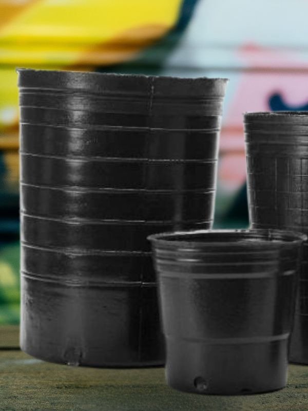 Producto - Macetas Sopladas