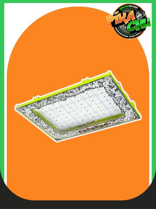 Producto - LINEA COGORDOS - COGORDO P800