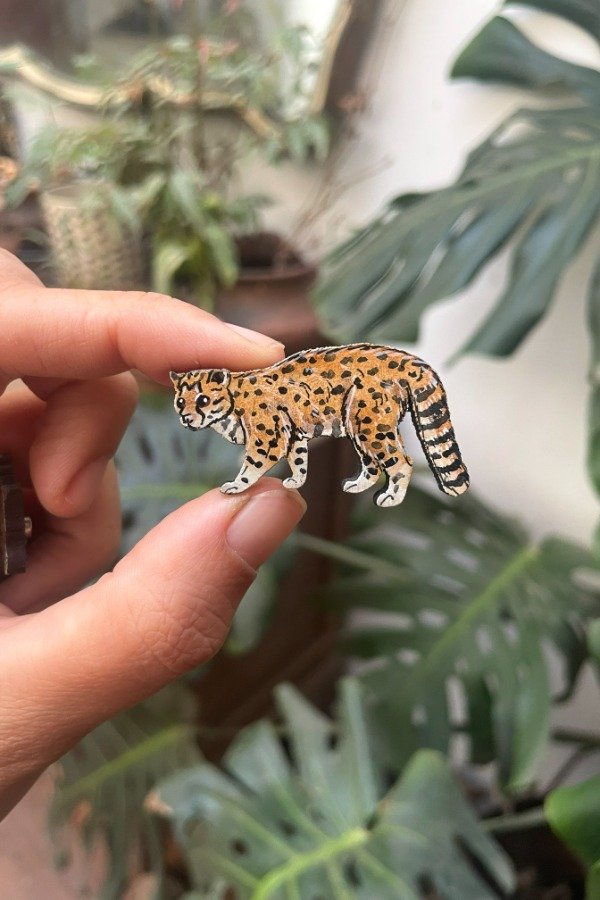 Producto - Huiña / Güiña (Leopardus guigna)