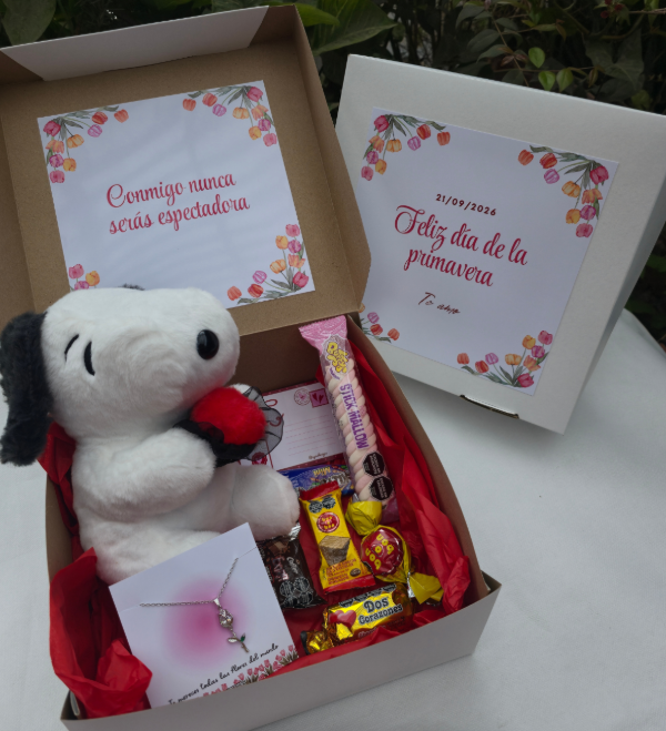 Producto - Combo snoopy dia de la primavera