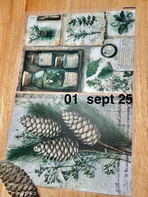 Producto - Colección Alquimia Verde