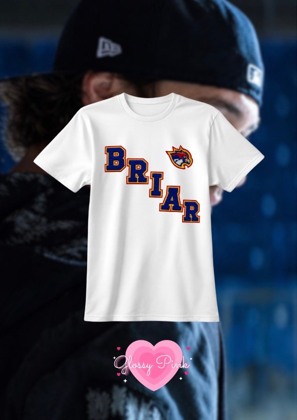 Producto - Remera Briar efecto parches - DTF