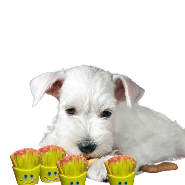 Producto - Juguete para perros con chifle sonoro modelo papas fritas con cara - 0