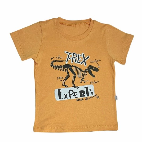 Producto - REMERA T-REX