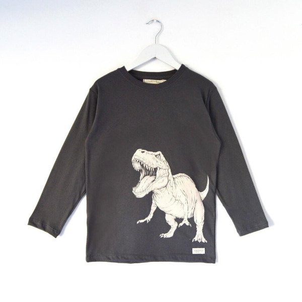 Producto - Remera  Dino m/l
