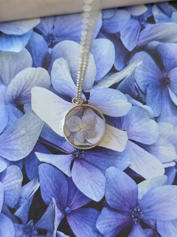 Producto - hortensia - 0