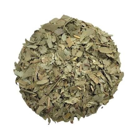 Producto - Eucaliptus mentolado