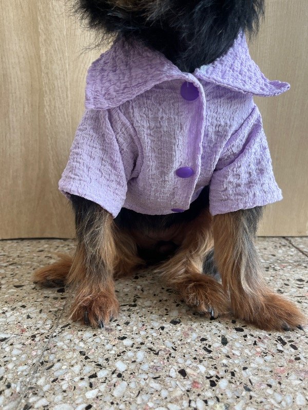 Producto - Camisa Lila - 0